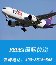 Fedex联邦快件服务